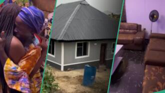 Gas cylinder for kitchen, wardrobe: Woman's new house get amazing interior decor, she rejoices