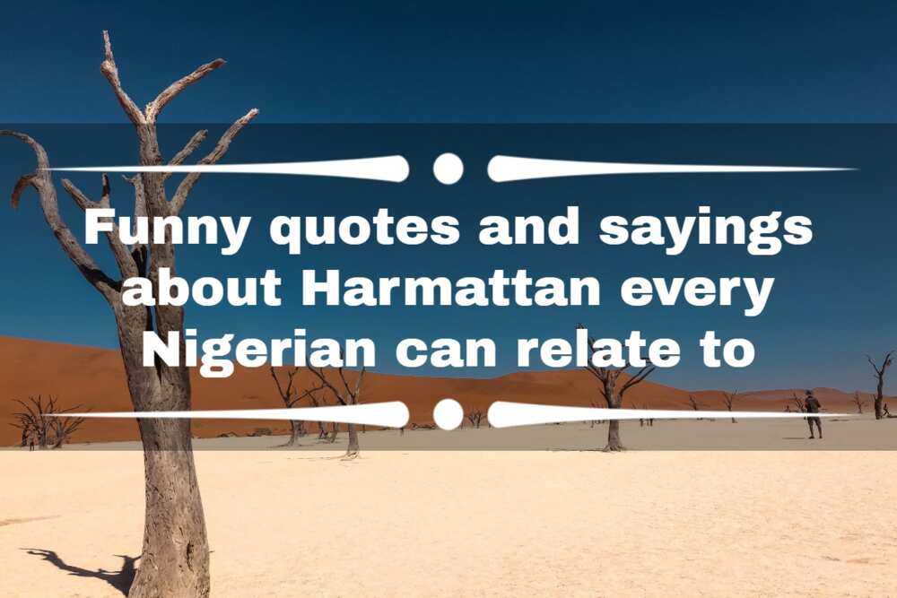 funny quote about harmattan