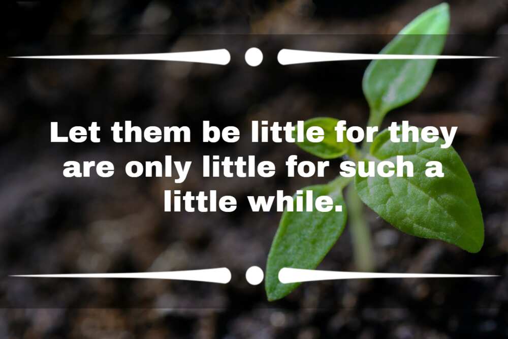 Quotes about growing up Quotes about growing up
