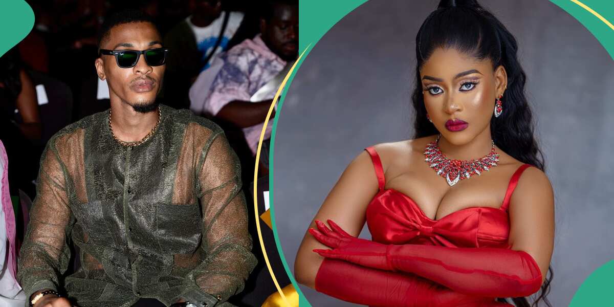 See what Groovy said about Phyna and the real reason their relationship didn't work