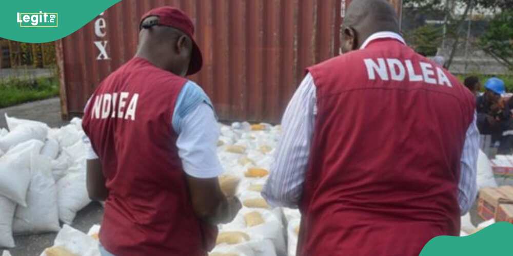 NDLEA makes major arrests in Abuja, Lagos, Osun, other states