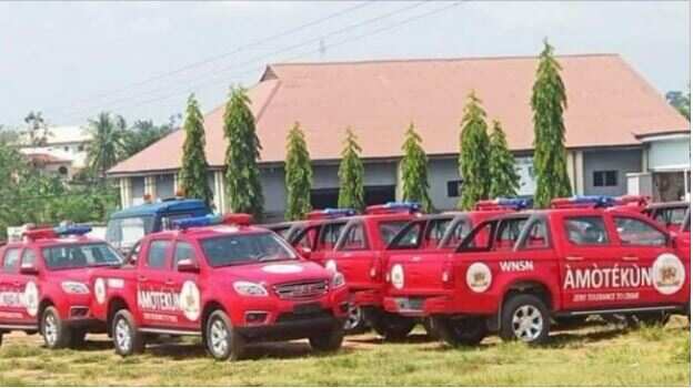 Sojoji, ‘Yan Sanda, NSCDC ba za su yi aiki da sababbin Dakarun Amotekun ba