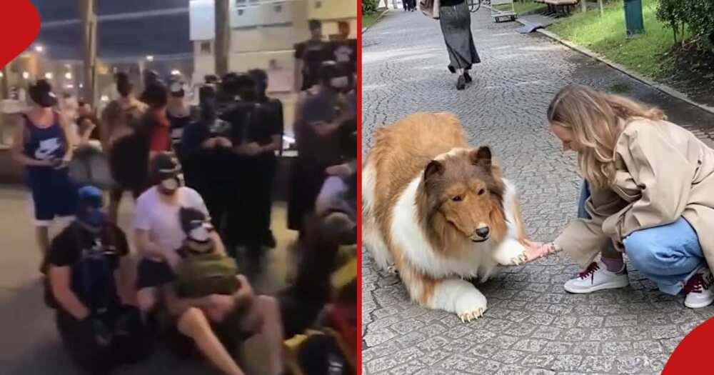 Thousands of people who identify as dogs assembled in Berlin for a meeting.