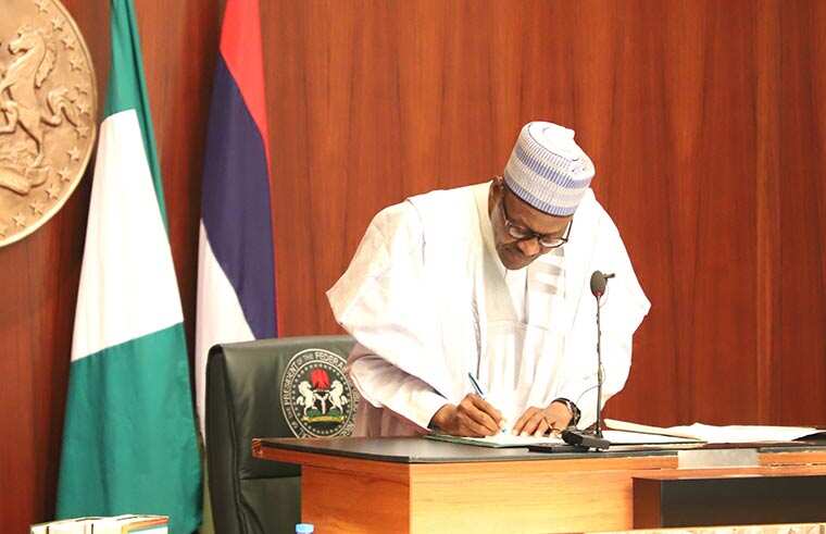 President Buhari appoints Mairiga as executive secretary federal loan board