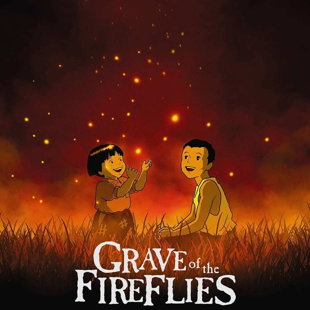 grave of fireflies netflix｜TikTok Search