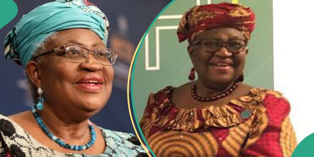 Okonjo-Iwela ranked most powerful woman in Africa