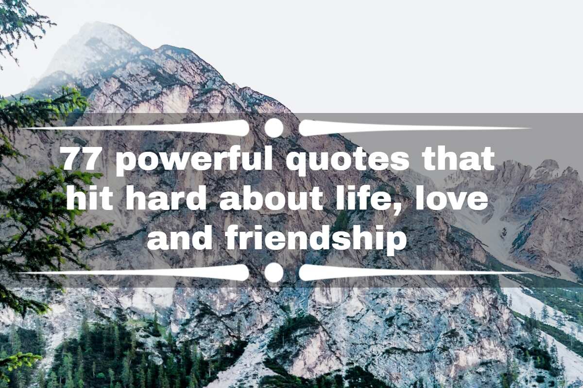 great quotes about love and friendship