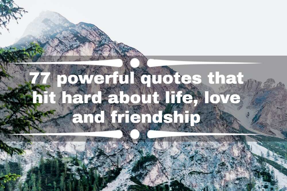 quotes about friendship and love