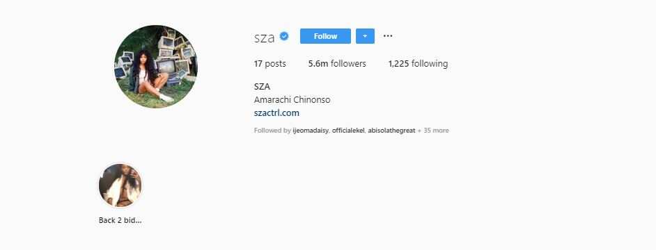 American singer SZA gets name changed to Amarachi Chinonso on Instagram (screenshot)