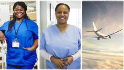 "Move to Canada easily": Nova Scotia College of Nursing opens 2 pathways to license Nigerian nurses