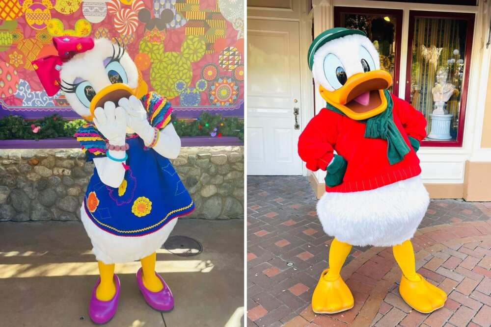 Unique duck names Unique duck names