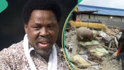 “We’ve uncovered new evidence TB Joshua hid dead bodies during 2014 building collapse", BBC shares