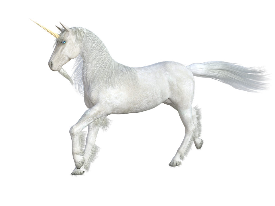 female unicorn names