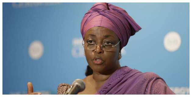 Diezani Alison-Madueke says Yahoo boys have become role models in Nigeria