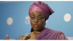 Why Yahoo boys are now role models in Nigeria - Diezani Madueke (video)