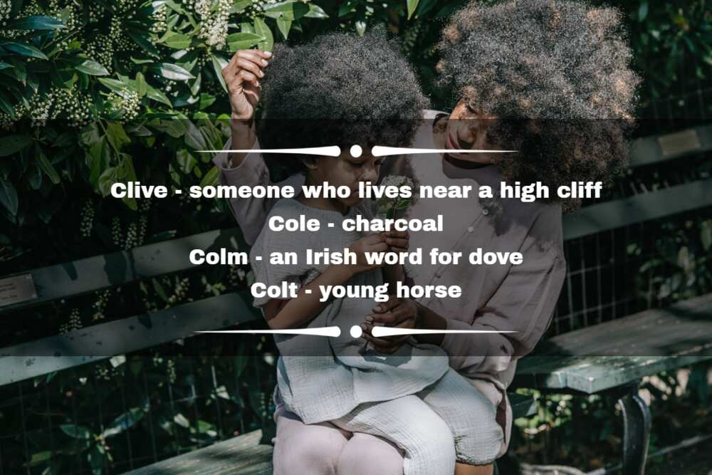 Trendy short boy names Trendy short boy names