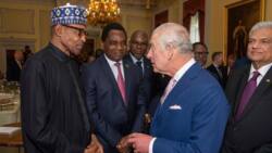 Photos emerge as Buhari joins other commonwealth leaders for Kind Charles III's coronation