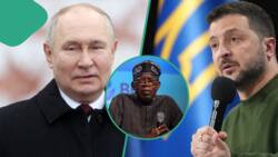 “Russia using Boko Haram's tactics”: Why Nigeria, others should stand with Ukraine, envoy explains