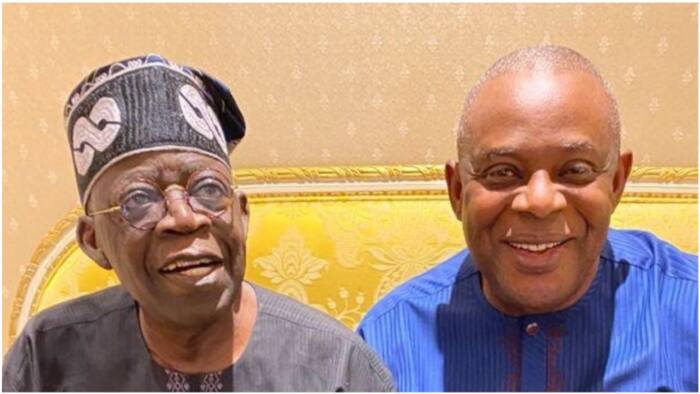 Coalition of opposition parties ask Tinubu to choose James Faleke as chief of staff