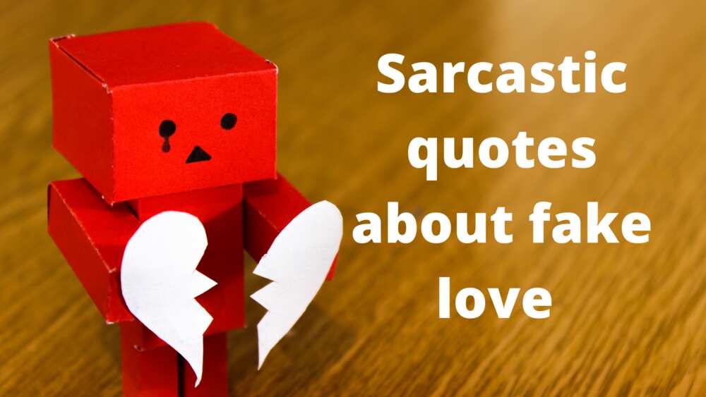 sarcastic quotes on fake people