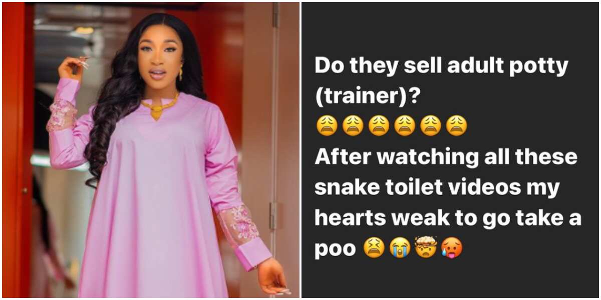 Actress Tonto Dikeh begins search for adult potty over viral videos of snakes found inside toilets