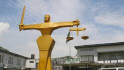 Confusion as thugs stone Nigerian judge out of courtroom