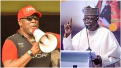 Tinubu’s “thought processes tripped and he launched into another issue entirely”, Dino Melaye
