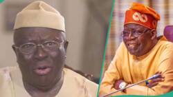 Afenifere condemns Supreme Court judgment, Tinubu's victory: “Electoral reforms wasted”