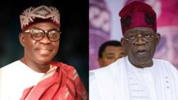 2023: APC selling comedy of gaffes, party chieftain says, dumps Tinubu