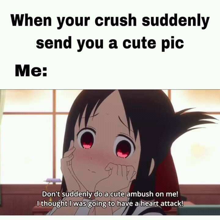 cute memes for crush