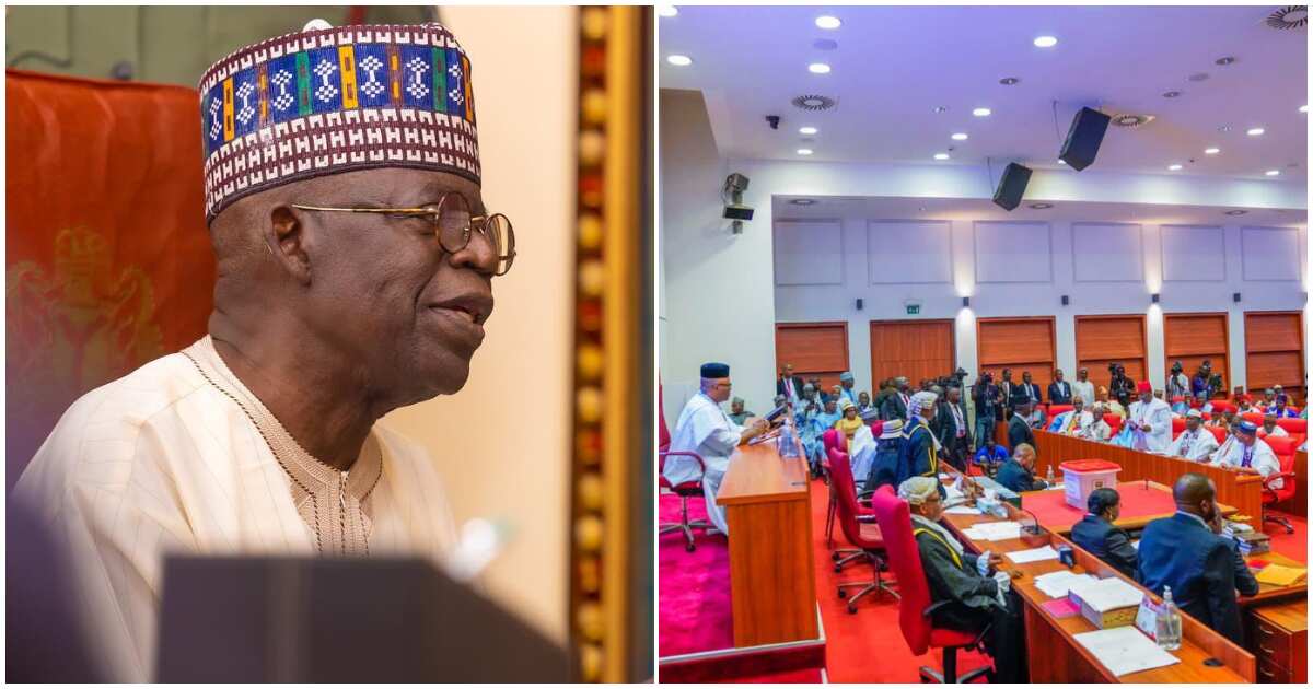 President Tinubu Seeks Senate Confirmation For NEDC Board Members ...