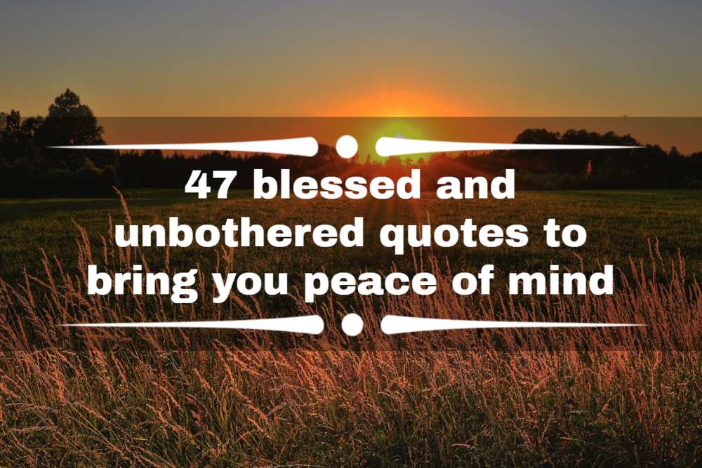 Blessed and unbothered quotes Blessed and unbothered quotes