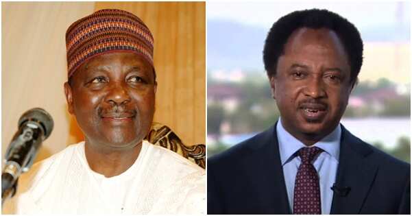 Shehu Sani ya yi wa ɗan majalisar Burtaniya raddi kan cewa Gowon ya wawushe maƙuden kuɗaɗe