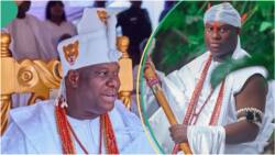 Trending video shows moment Ooni of Ife shared cash with traditional rulers at Aje Festival in Osun