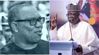 2023 Presidency: Tinubu lists 4 conditions before he will debate with Obi, attend AriseTV town hall meeting