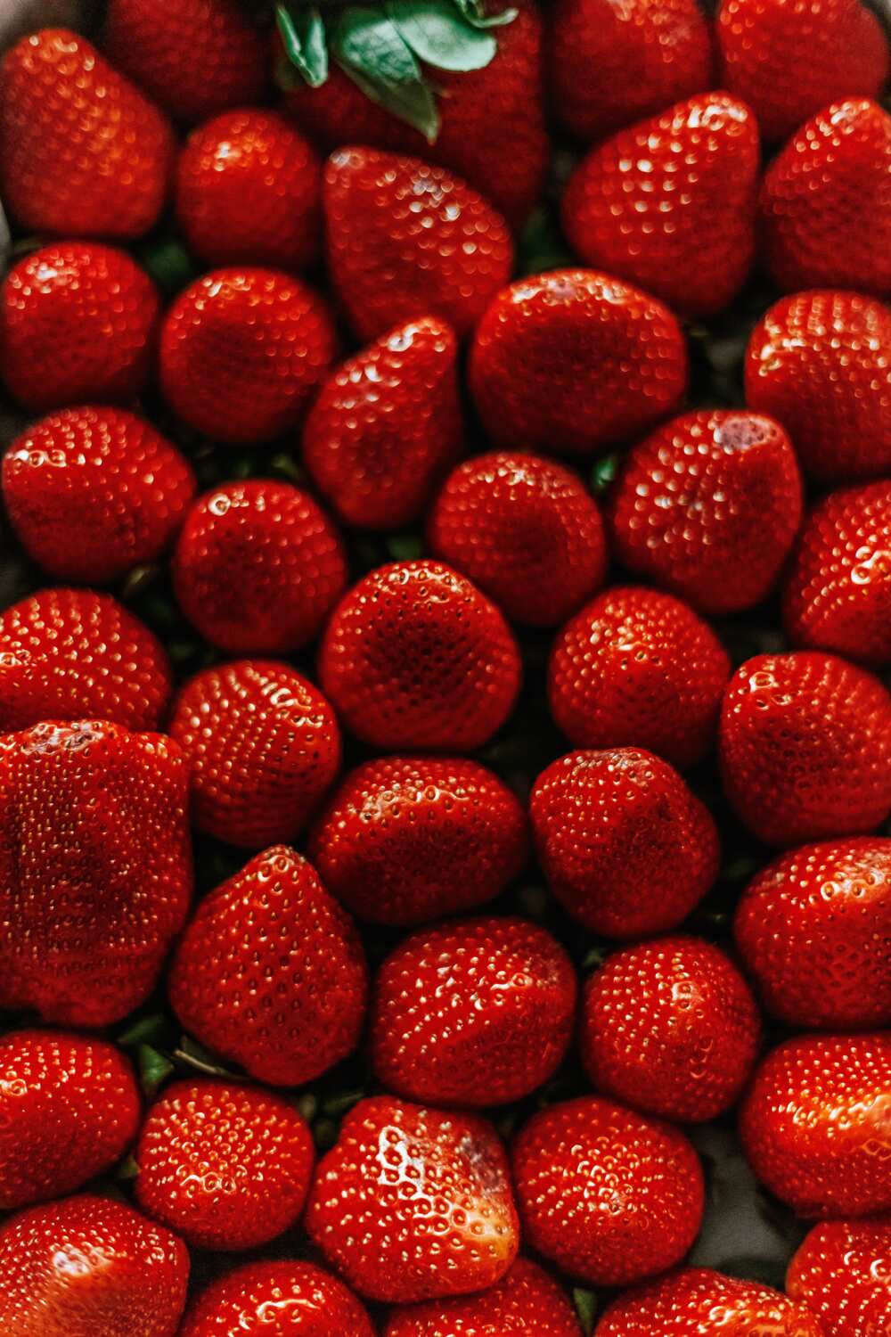 Foods to help fertility Foods to help fertility