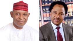 Kano: Shehu Sani Ya Yi Martani Kan Matakin Da Abba Gida Gida Ya Dauka, Ya Tura Sako Ga Sauran Gwamnoni