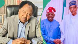 How ‘characters’ in Buhari’s govt looted Nigeria’s treasury, Shehu Sani shares details