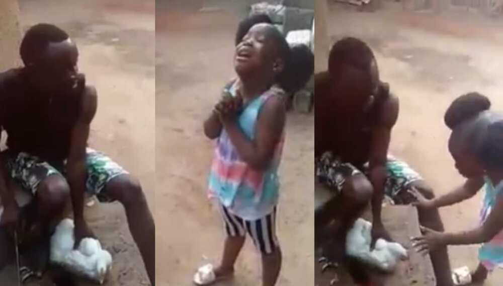 Little girl passionately pleads and begs dad not to kill fowl, video stirs reactions