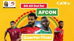 AFCON: The Journey So Far as 8 Teams Jostle for Glory