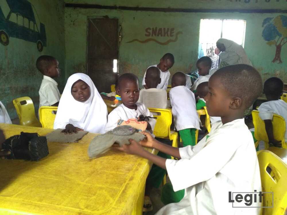 Early Childhood Education, Bodinga LGA, Sokoto state, eductaion in Niegria, children under 8 years old