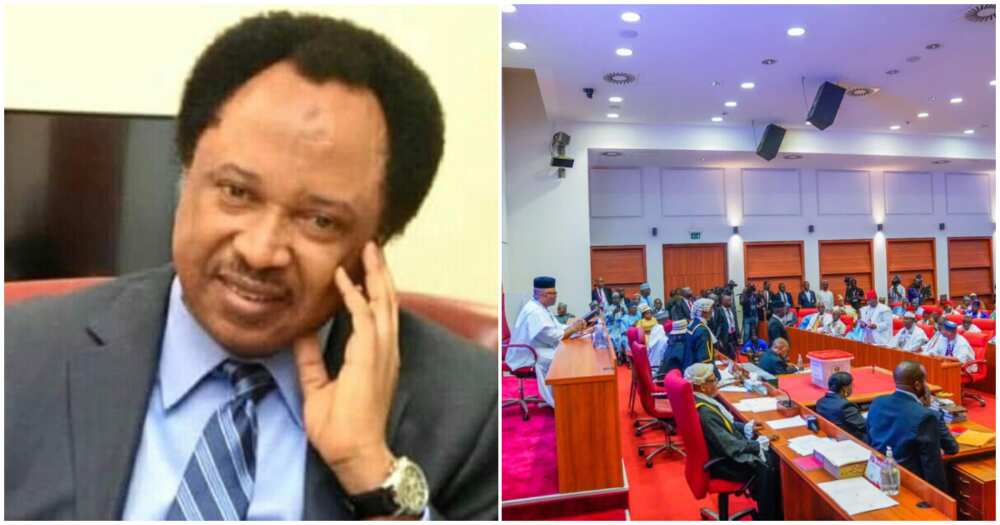 Shehu Sani reacts to senators enjoyment allowance/ Akpabio's blunder of senators enjoyment allowance Shehu Sani reacts to senators enjoyment allowance/ Akpabio's blunder of senators enjoyment allowance