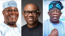 Nigeria 2023 presidency: Emulate Jonathan, concede defeat, Tinubu tells Atiku, Obi