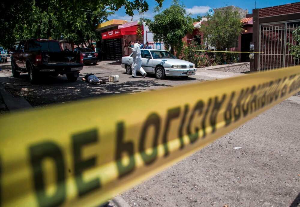 Que devient le cartel de Sinaloa, organisation criminelle mexicaine? Que devient le cartel de Sinaloa, organisation criminelle mexicaine?