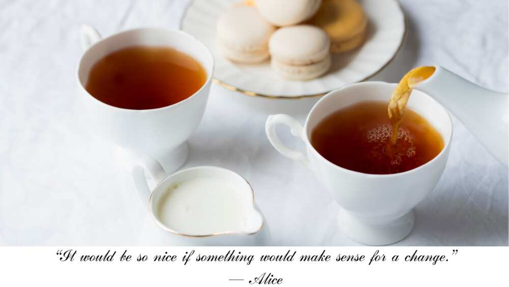 Alice in Wonderland tea party quotes
