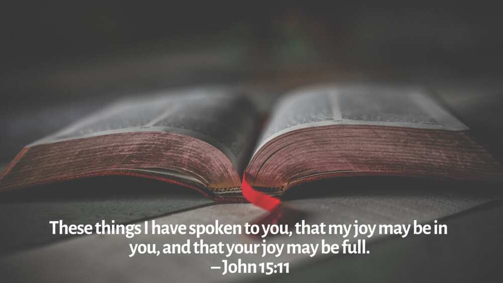 Top 20 Bible verses about joy