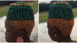 Be like conductor and insulator wires: Reactions to video of lady with 'pineapple' hairstyle
