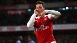 Mesut Ozil sends stunning message to all Arsenal fans after completing move to Fenerbahce