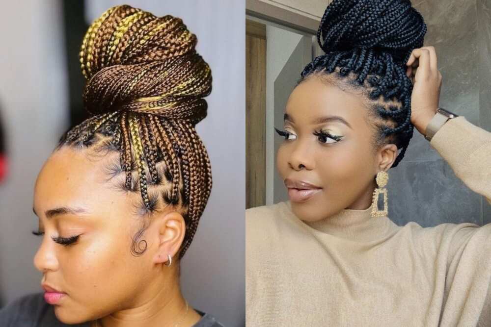 Braiding Hairstyles & Low Cuts Braids Patterns Book For Women