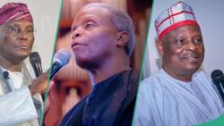 Year in review: List of biggest Nigerian political losers in 2023